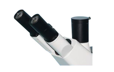 Trinocular Inverted Microscope - Microscopy