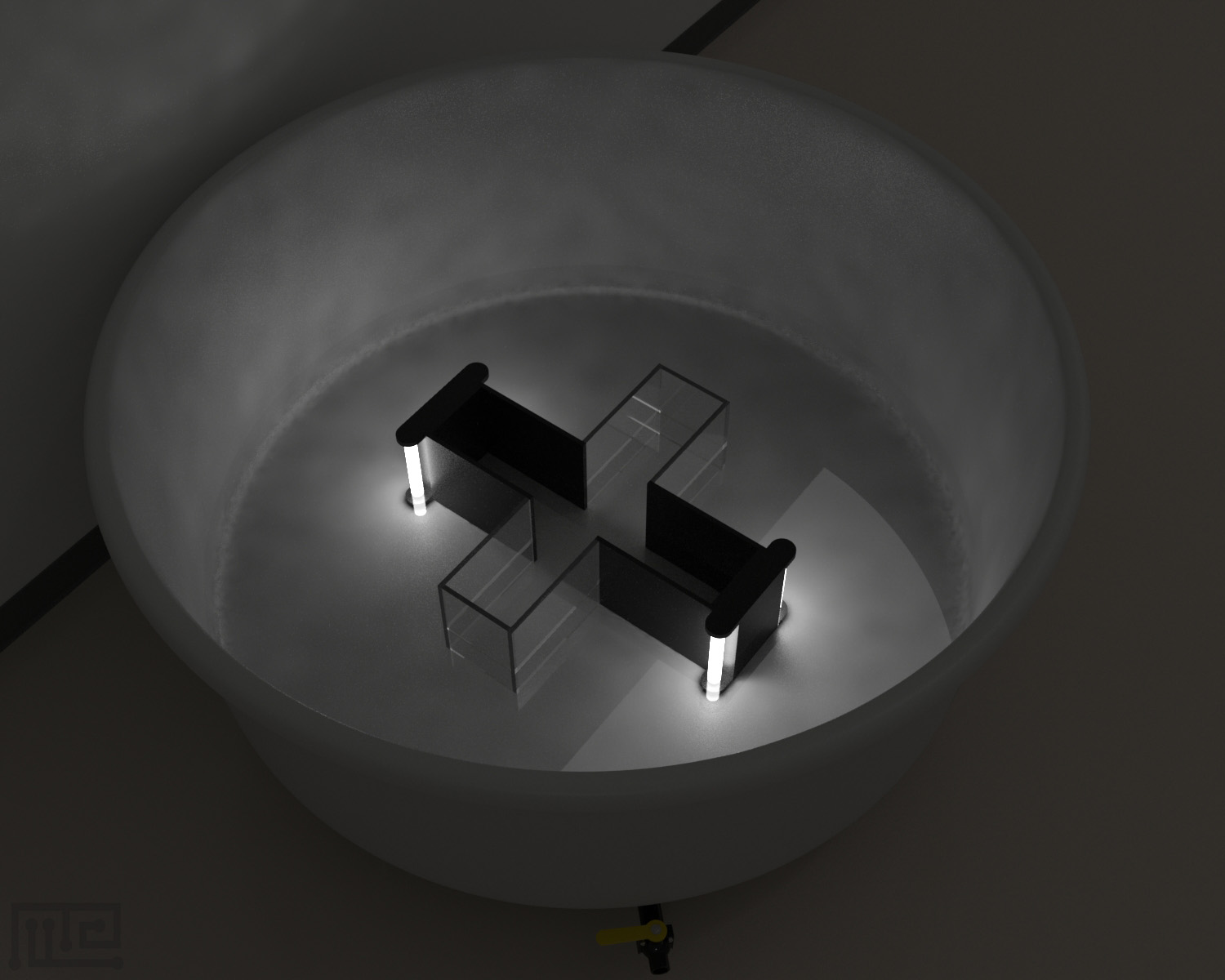 Crayfish Light-Dark Maze - Behavioral Mazes