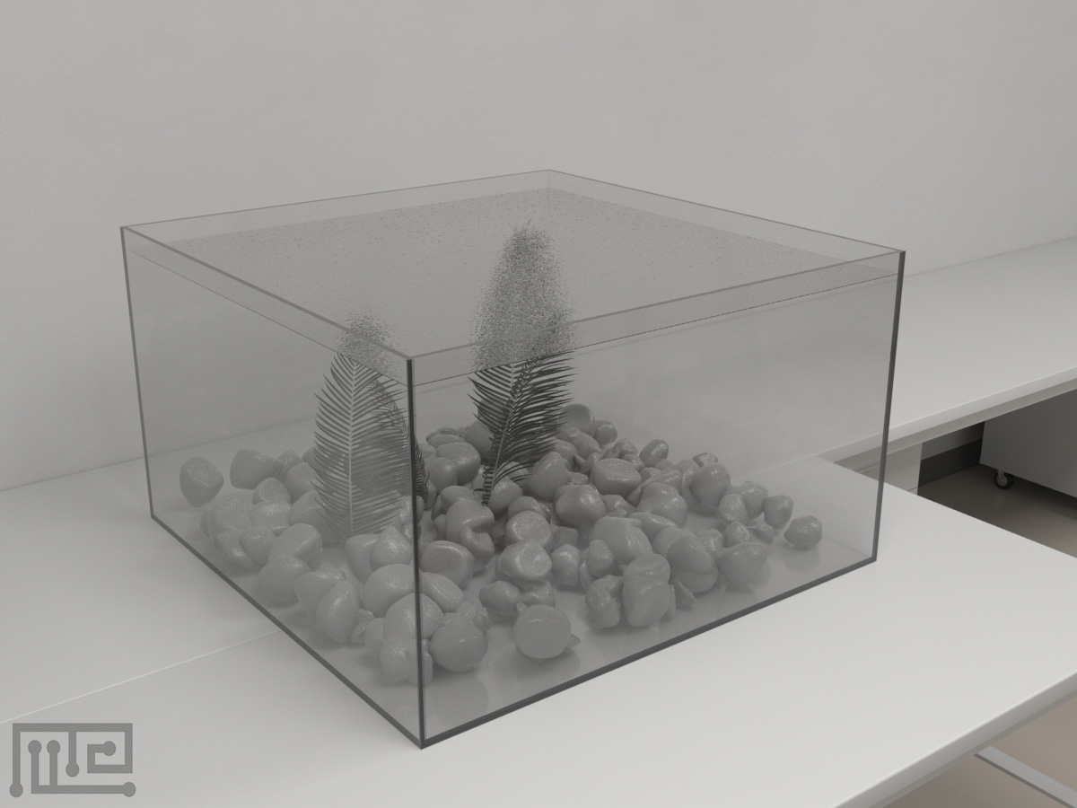 Fish 4 choice Maze - Behavioral Mazes
