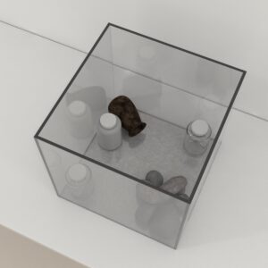 Food Preference Test