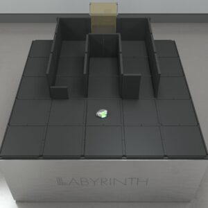 Intra-Dimensional Extra Dimensional (IDED) Set Shift