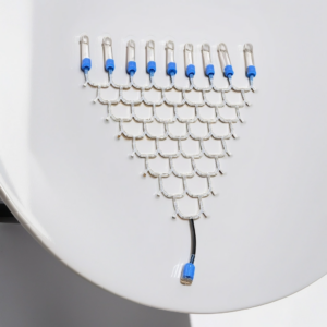Drosophila Gravitaxis Maze