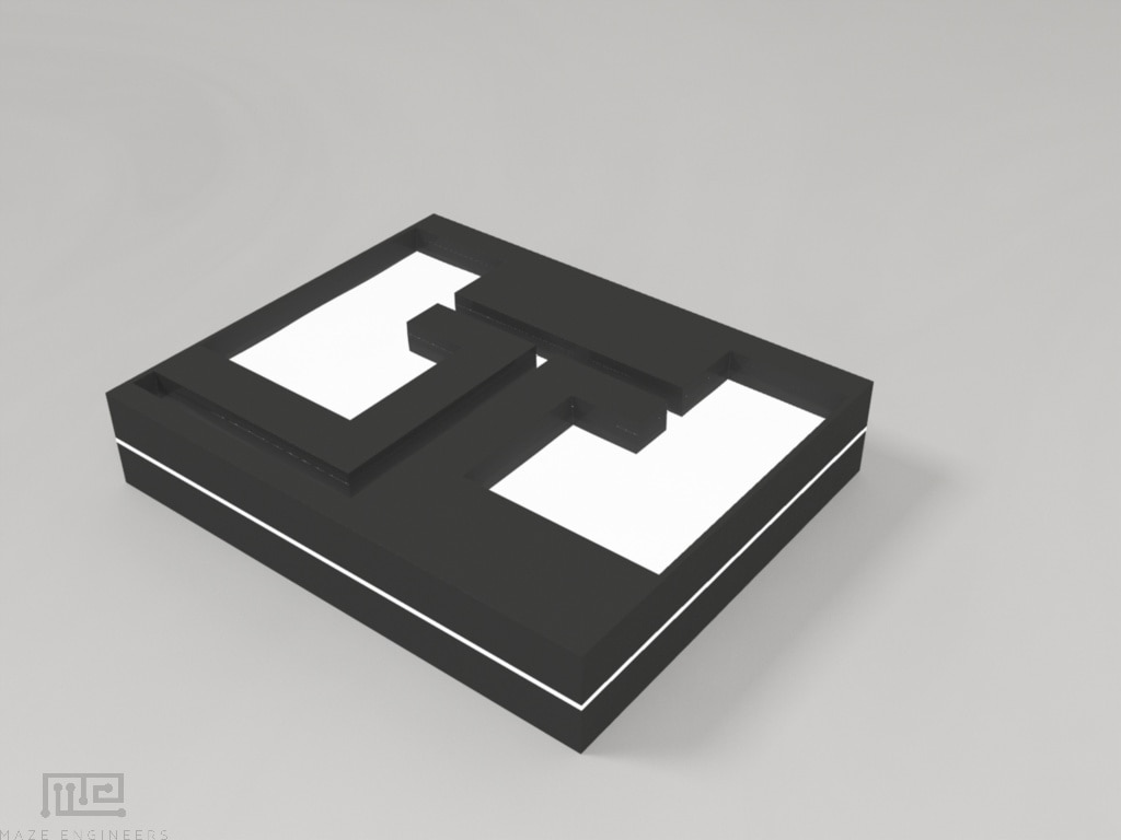 Zebrafish Larvae T Maze