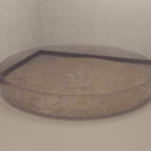 The Lobster maze (post-larval conditioning with shelter)