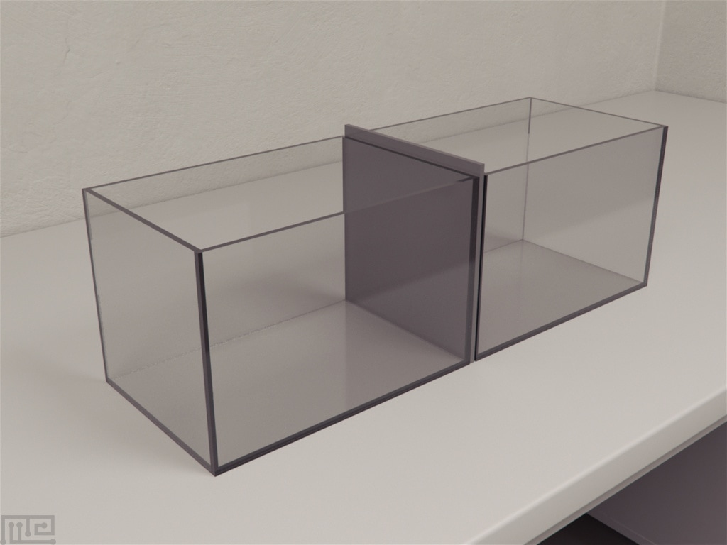 Mirror Biting - Behavioral Mazes