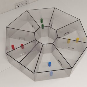 Novel Object Recognition Assay