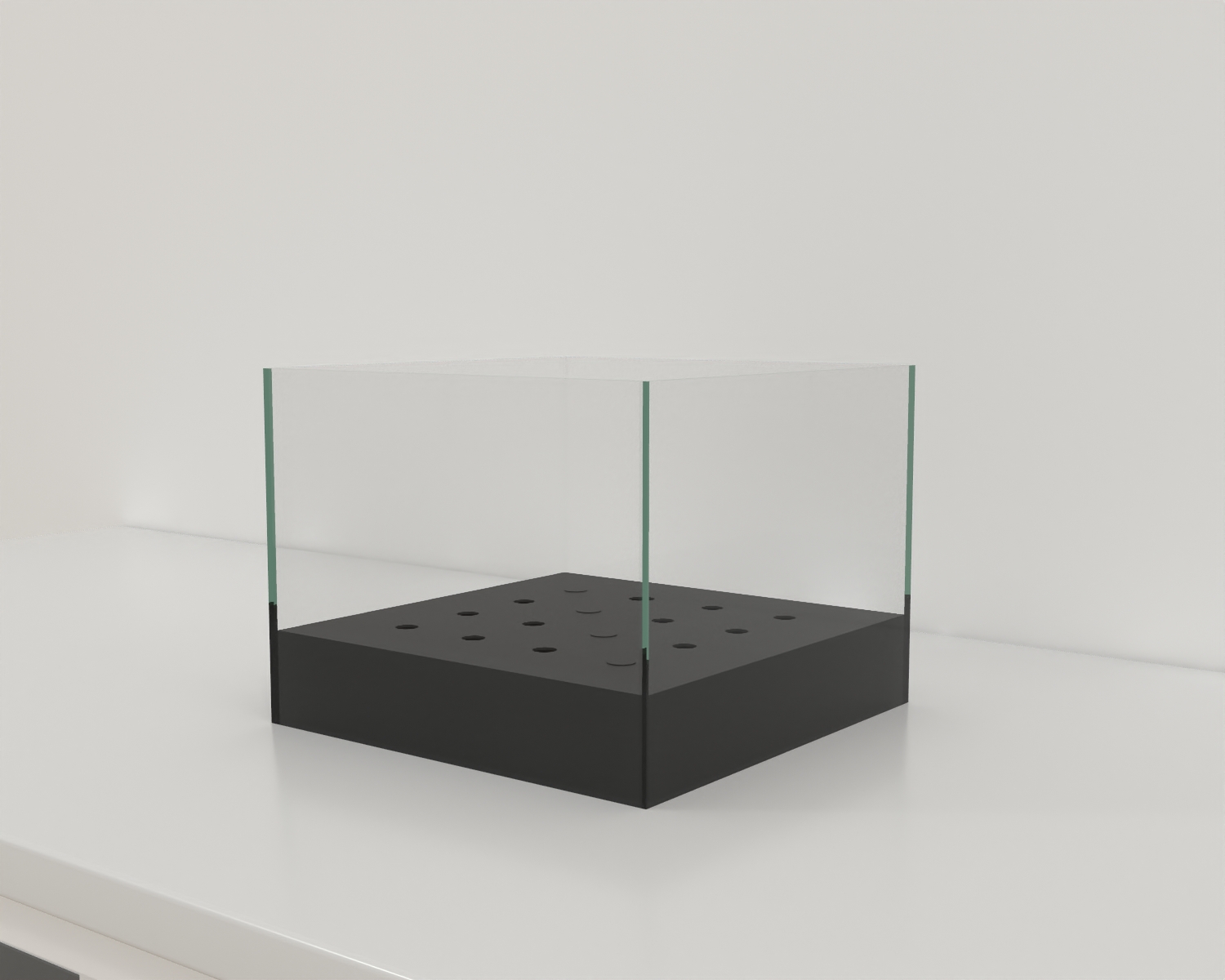 Olfactory Hole Board - Behavioral Mazes