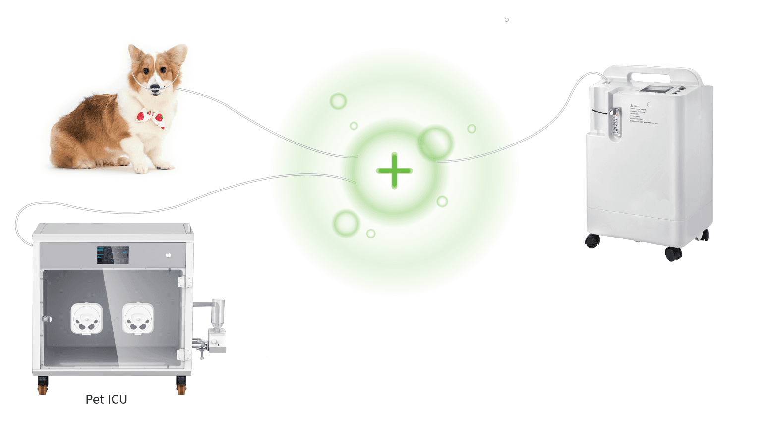 Veterinary Oxygen Concentrator Compatible with Anesthesia Machine - Anesthesia &amp; Ventilation