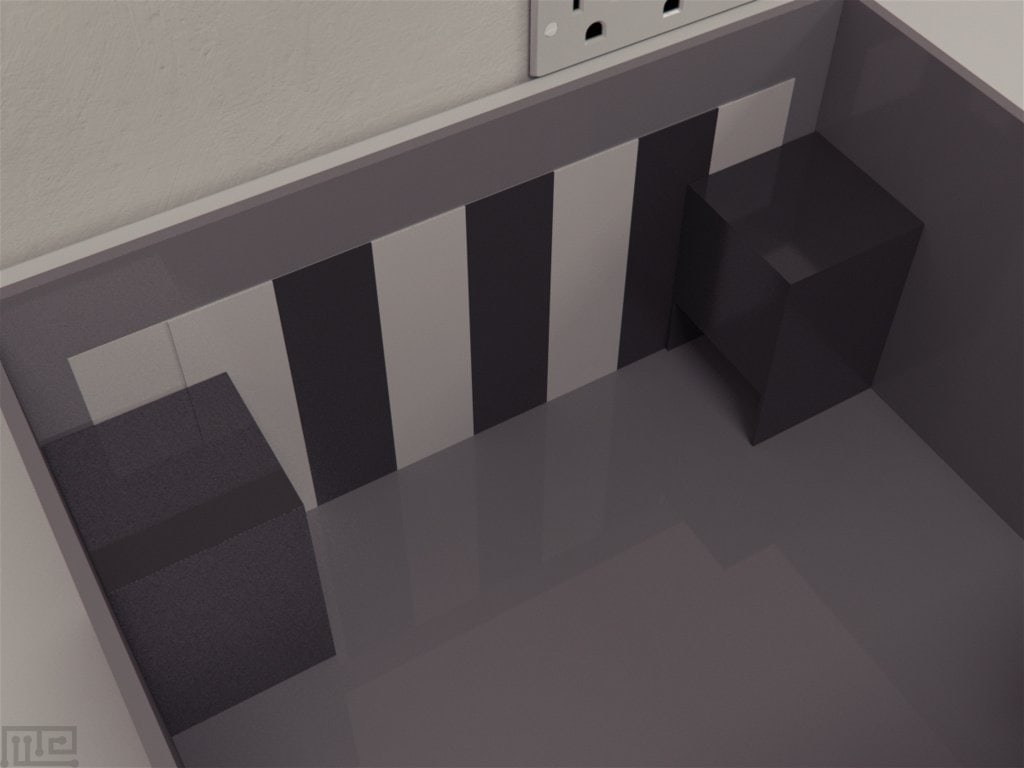 Spatial Reorientation - Behavioral Mazes