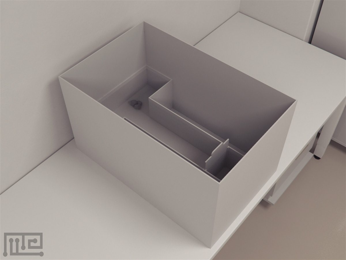 Tilapia T-Maze - Behavioral Mazes