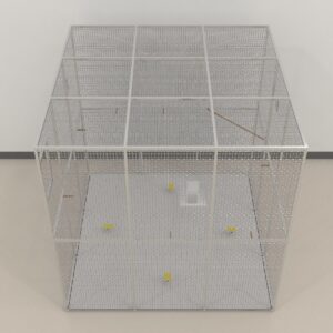 Zebrafinch Chamber Maze