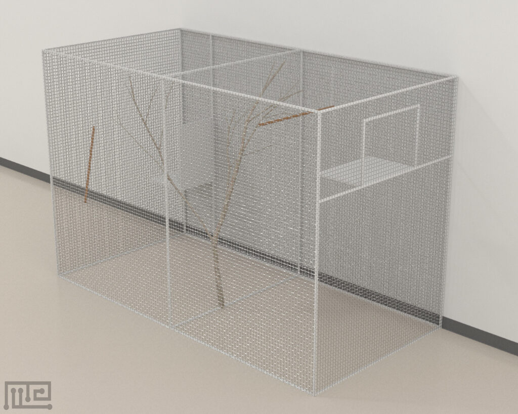 Zebrafinch Testing Cage