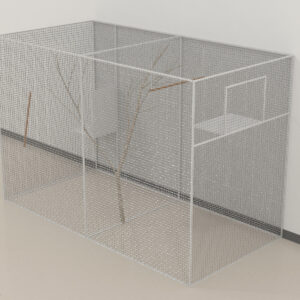 Zebrafinch Testing Cage