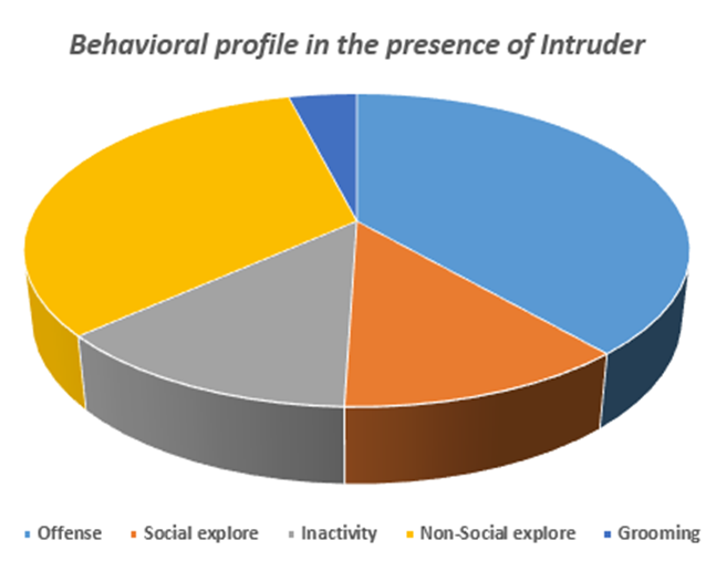 Resident Intruder - Behavioral Mazes