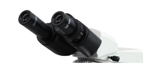 Binocular & Trinocular 40X~1000X Biological Microscope for School Students Laboratory