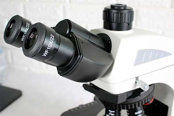 40X~1000X Laboratory Microscope Biological Laboratory Microscope for Research with Display - Microscopy