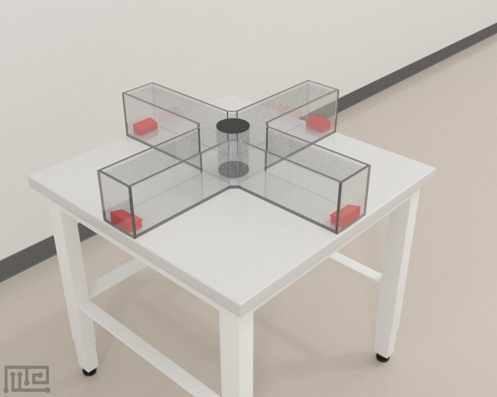 Magnetic Compass Bird Maze