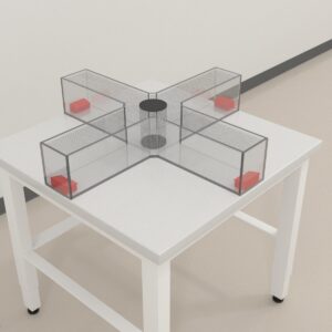 Magnetic Compass Bird Maze