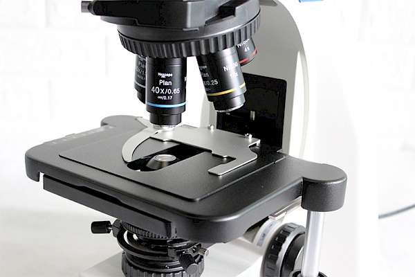 40X~1000X Laboratory Microscope Biological Laboratory Microscope for Research with Display - Microscopy