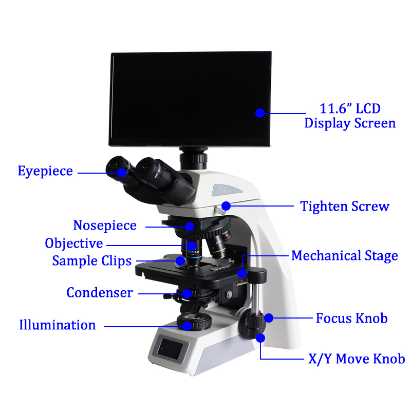 High-class 40X~1000X Ergonomic Design Biological Microscope for Laboratory and University Research
