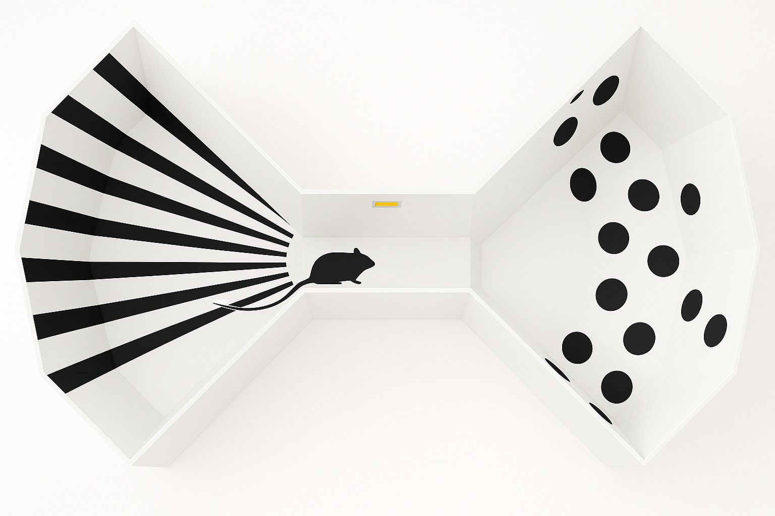 The Floor Maze - Behavioral Mazes