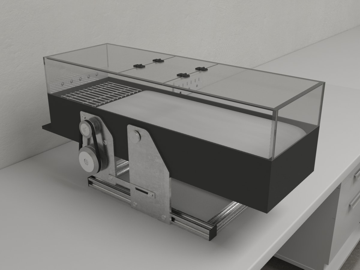 Treadmill - Behavioral Mazes