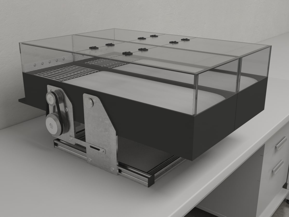 Treadmill - Behavioral Mazes