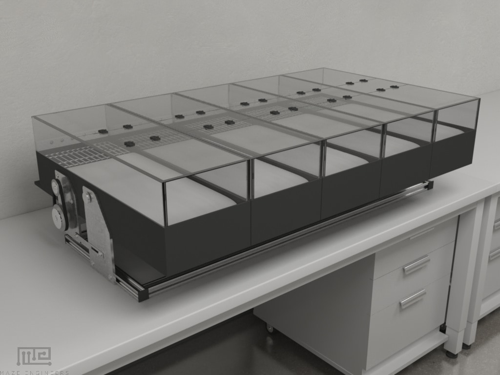 Treadmill - Behavioral Mazes