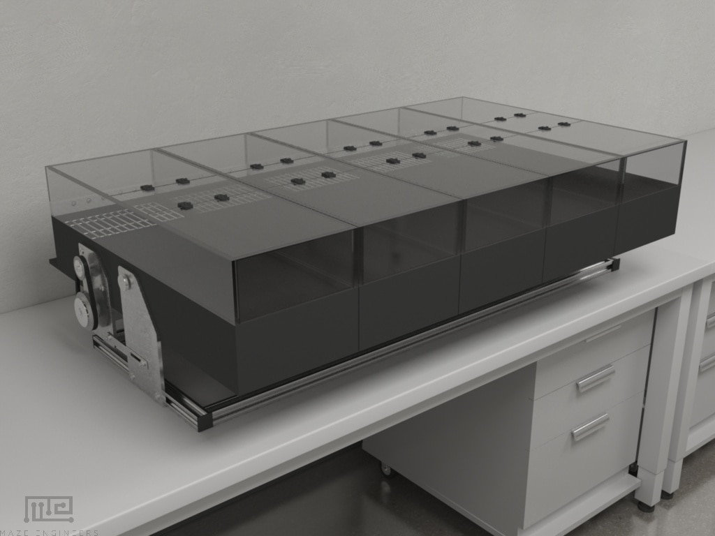 Treadmill - Behavioral Mazes