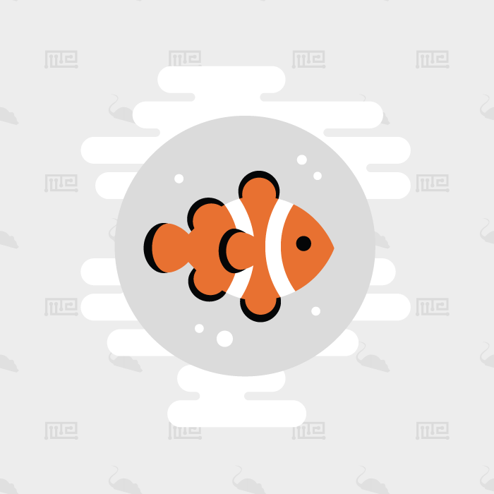 Complex Fish Maze - Behavioral Mazes