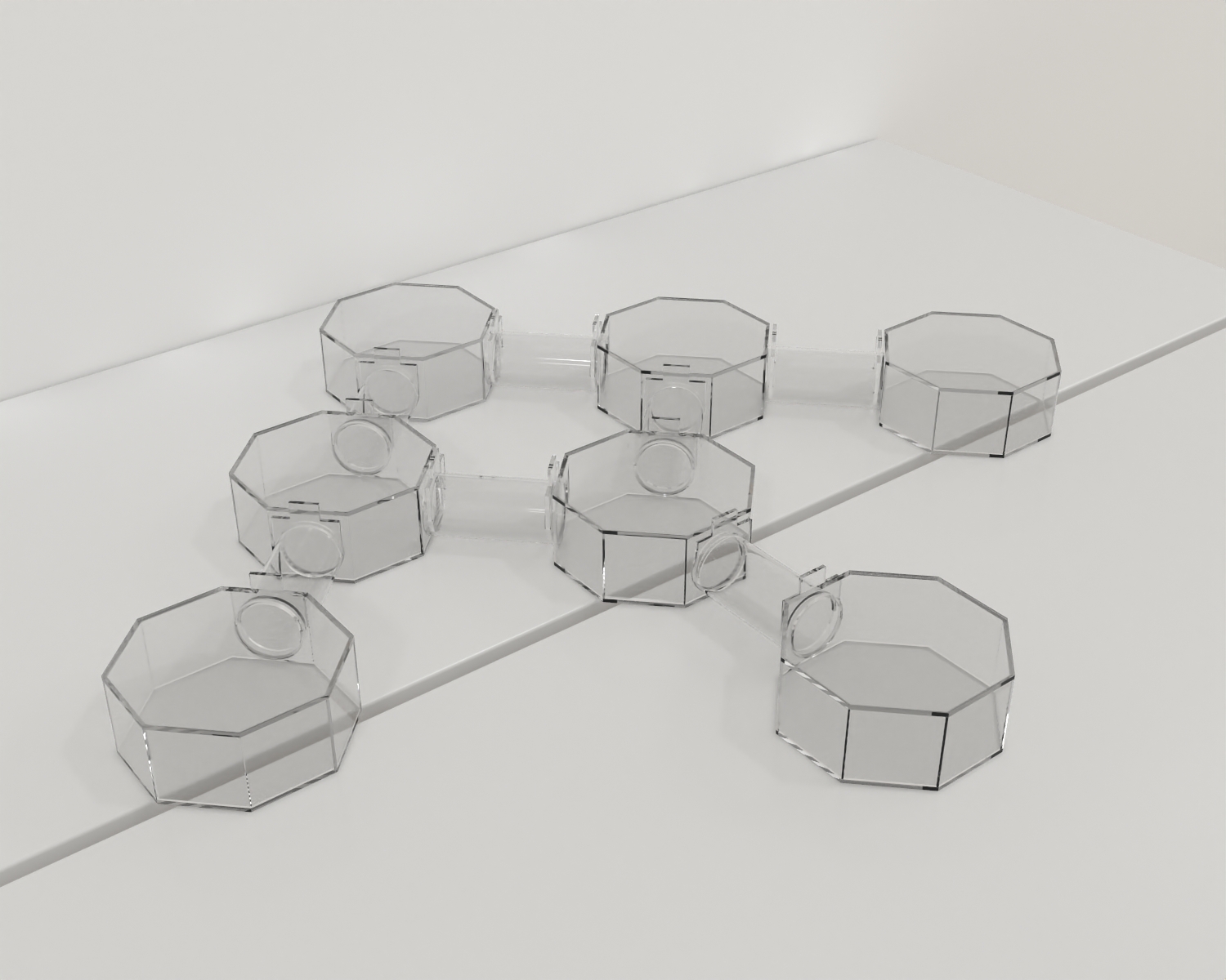 Concatenated Rodent Y-Maze - Behavioral Mazes