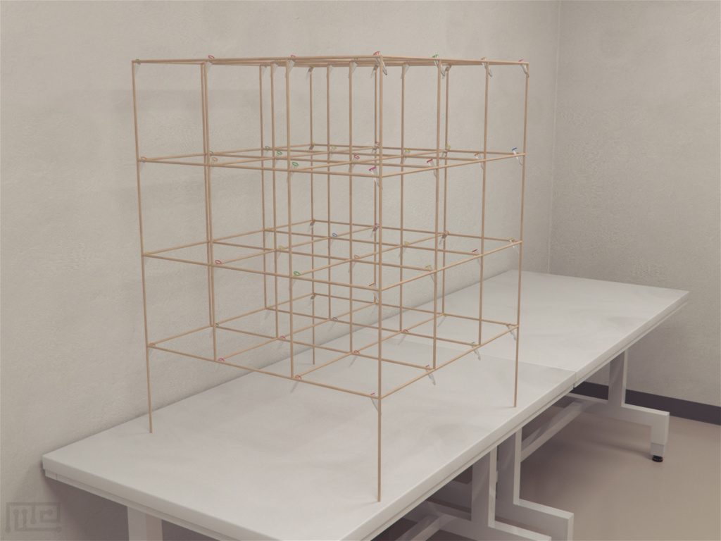 Hummingbird Cubic Maze - Behavioral Mazes