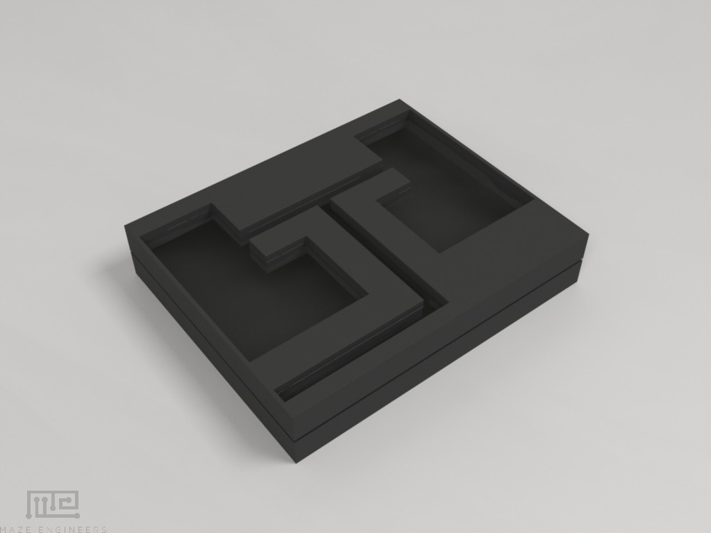 Zebrafish Larvae T Maze - Behavioral Mazes