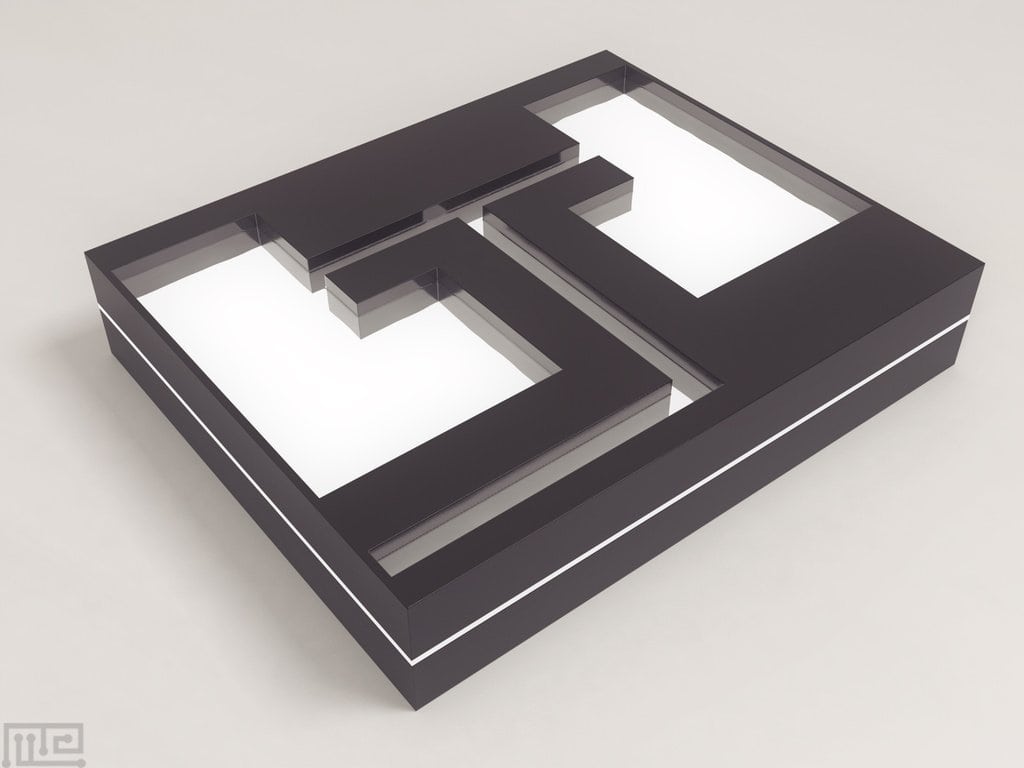 Zebrafish Larvae T Maze - Behavioral Mazes