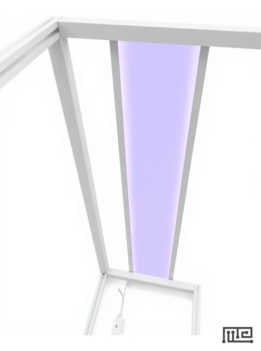 Zebrafish Rheotaxis Device - Uncategorized