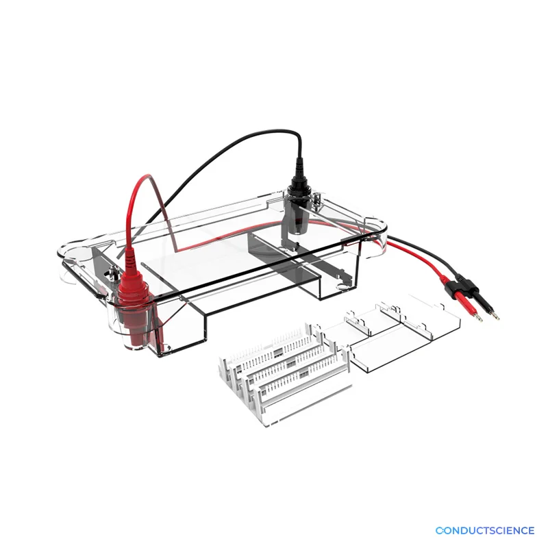 Vertical Electrophoresis Tank - Gel &amp; Protein Analysis