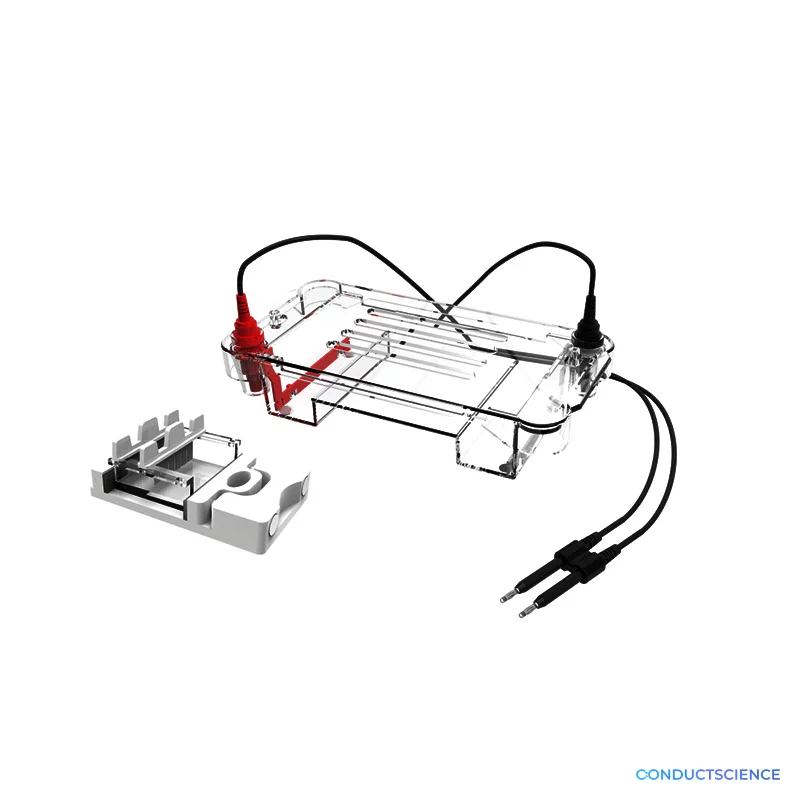 Vertical Electrophoresis Tank - Gel &amp; Protein Analysis