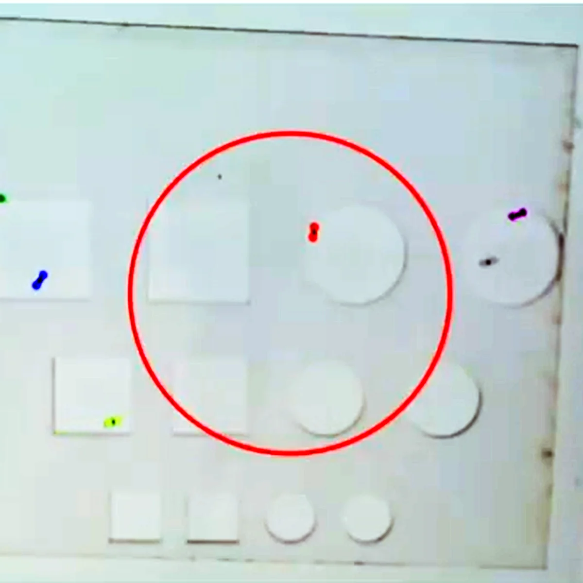 Flies tracked around a circular zone drawn on the arena