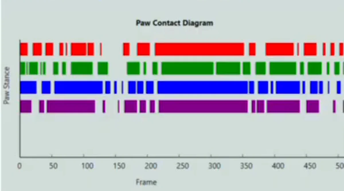 The paw contact diagram ConductVision draws from gait video: each paw's stance, frame by frame
