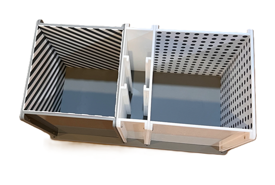 Conditioned Place Preference - Learning &amp; Memory Tests