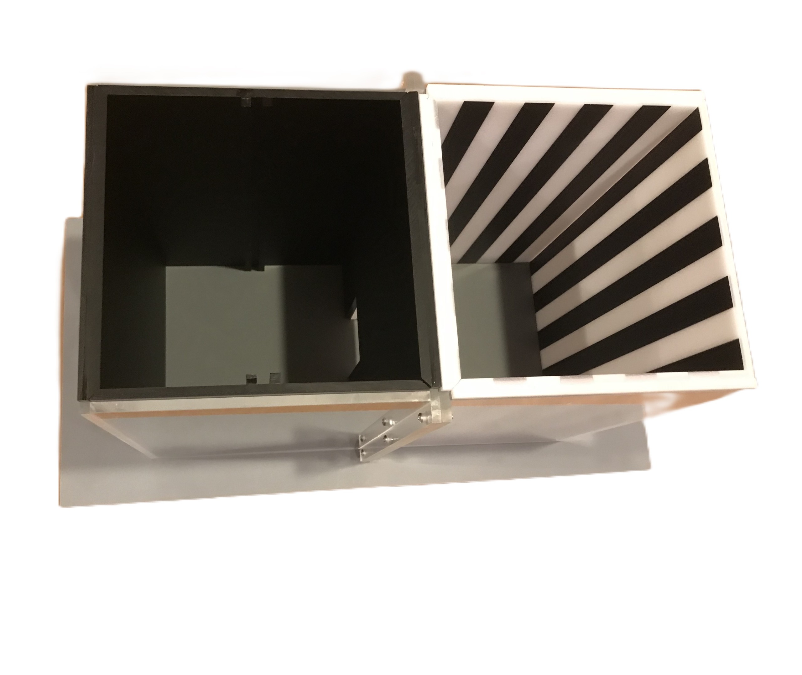 Conditioned Place Preference - Learning &amp; Memory Tests