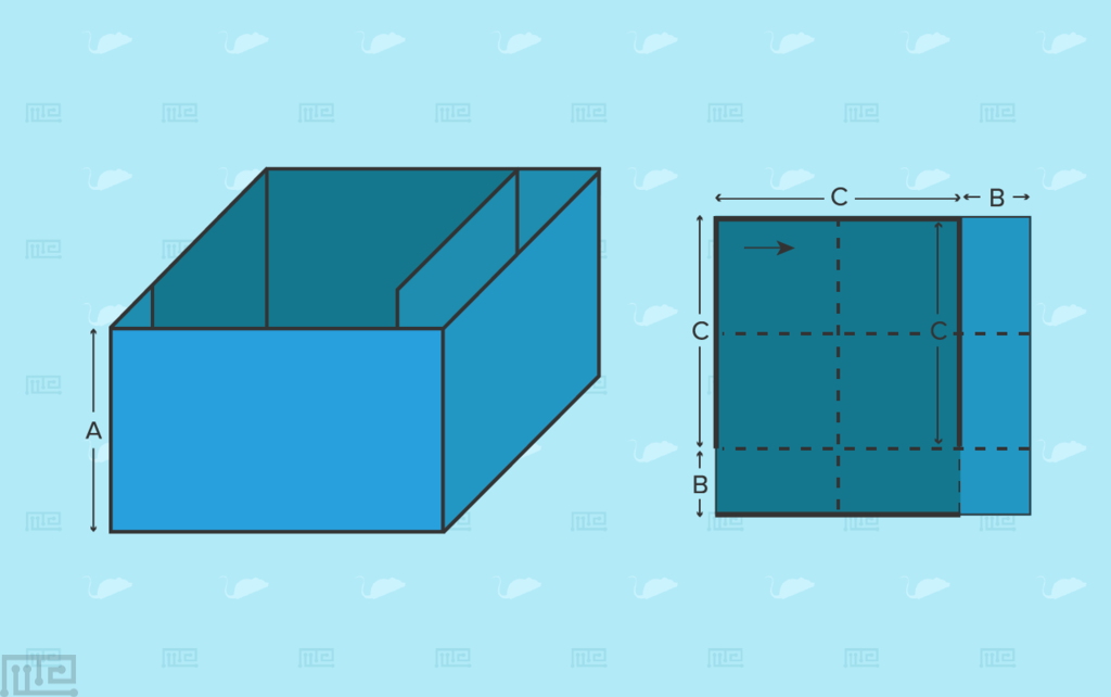Mirror Chamber Test - Behavioral Mazes