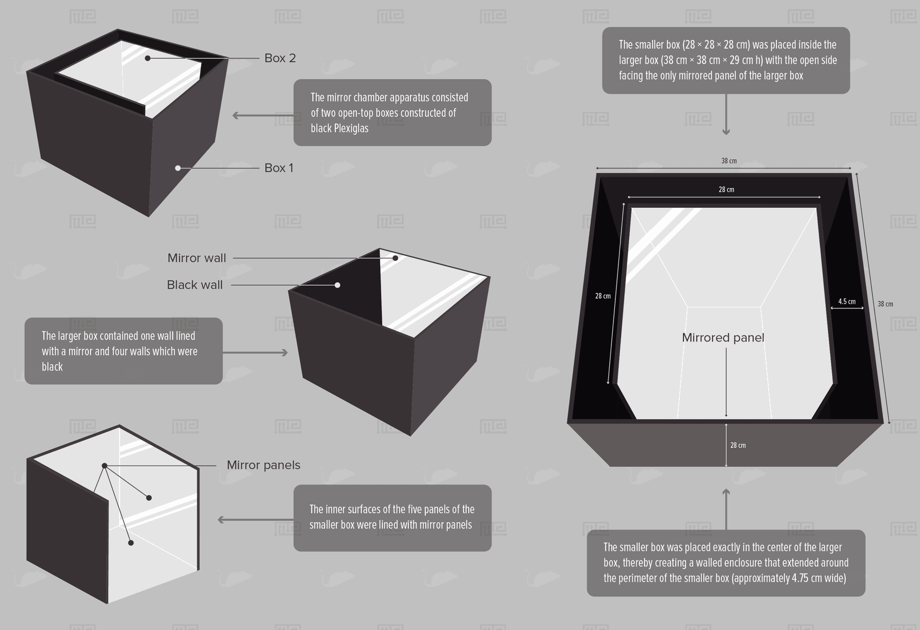 Mirror Chamber Version 2 - Behavioral Mazes