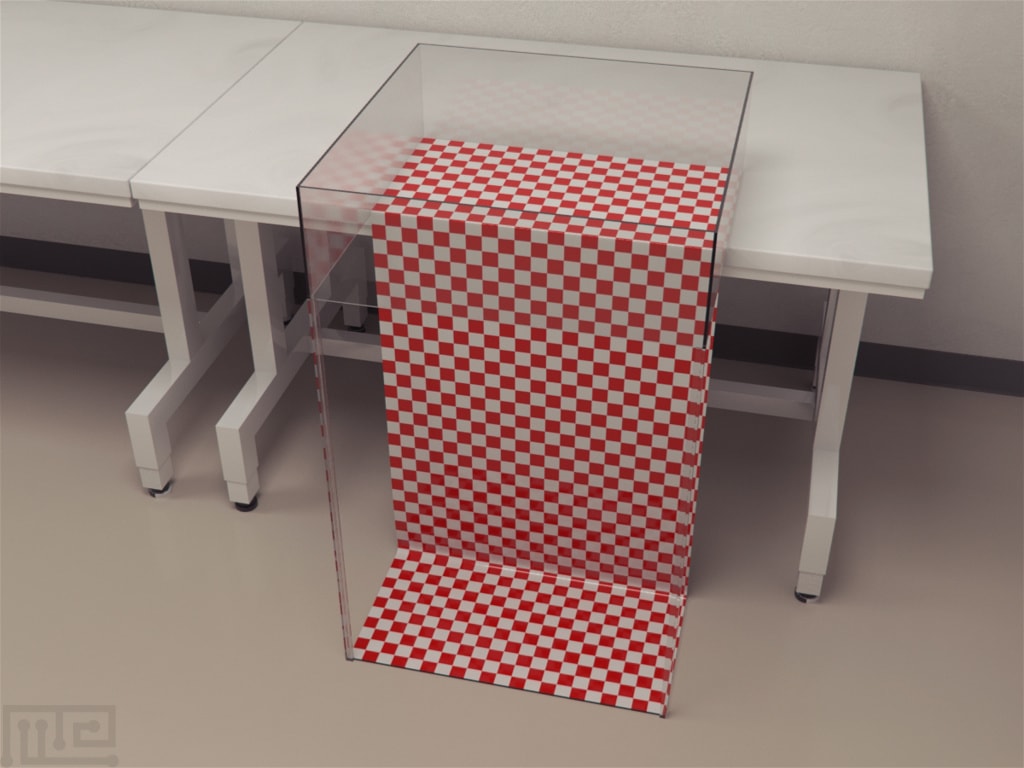 Visual Cliff Test