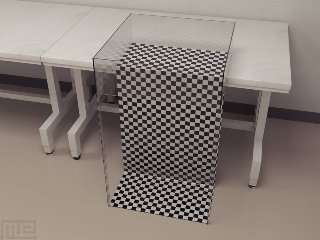 Visual Cliff Test