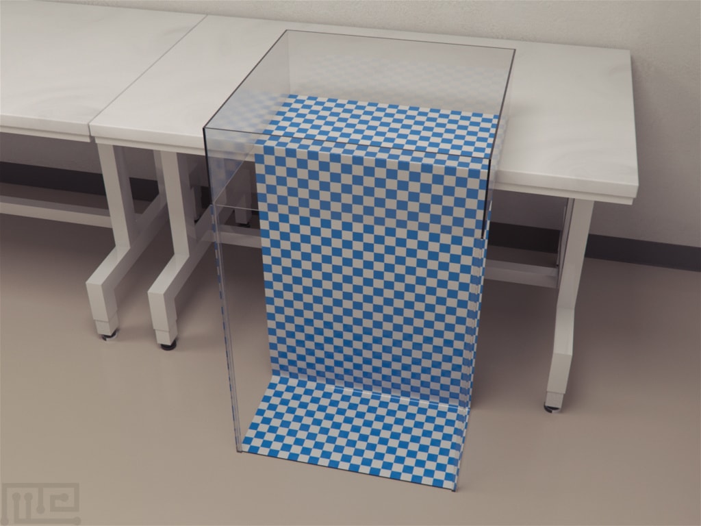 Visual Cliff Test