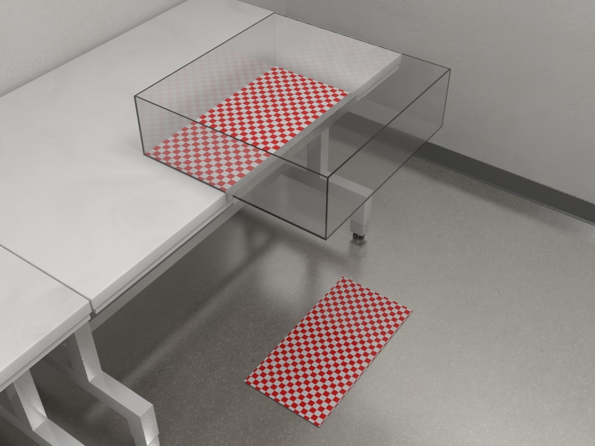 Visual Cliff Test