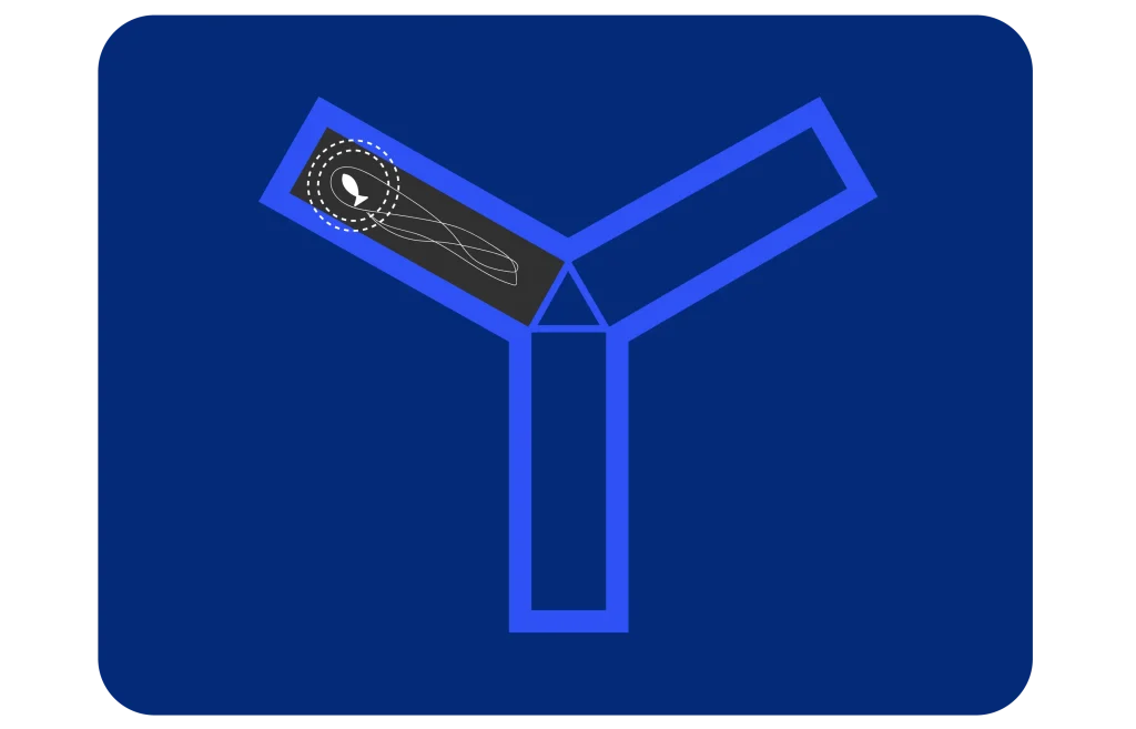 ConductVision Zebrafish Package thumbnail 2