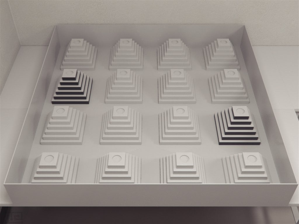 Ziggurat Task - Behavioral Mazes