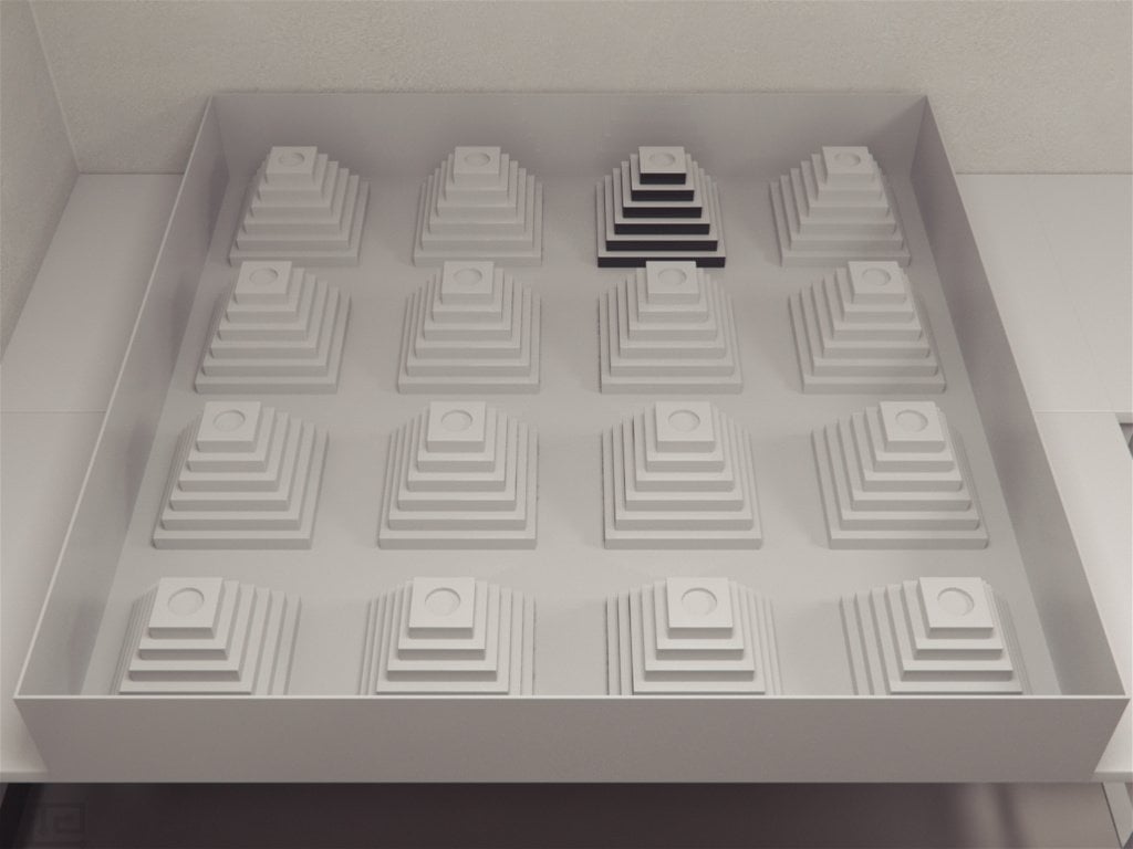 Ziggurat Task - Behavioral Mazes